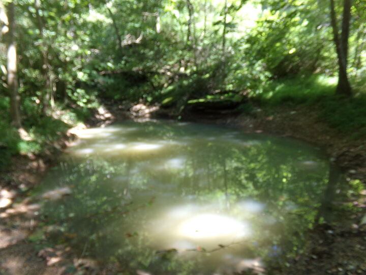 Property Photo:  000 Paradise Lane  MO 64856 