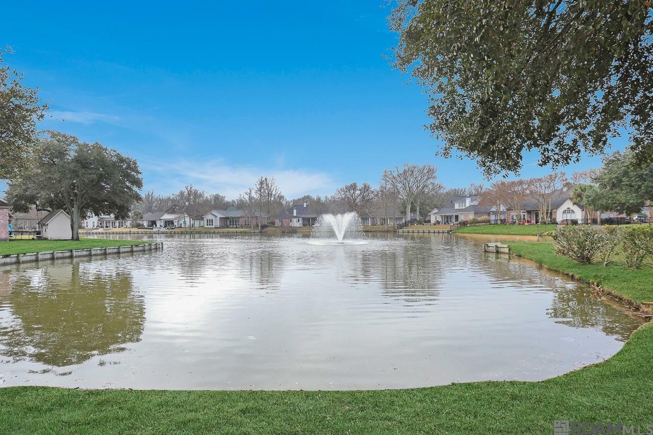Property Photo: 2969 Laurel Plantation Ave LA 70820