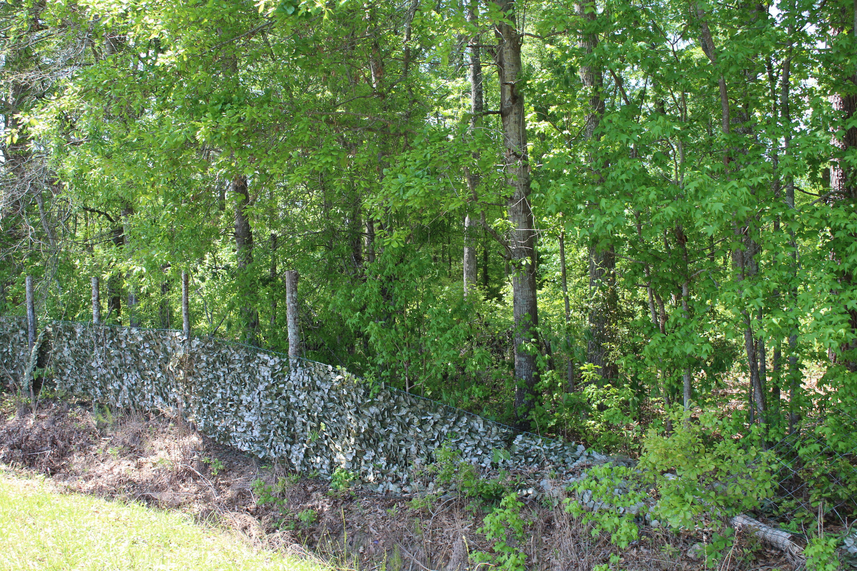 Property Photo: 2411 Drain Road SC 29481