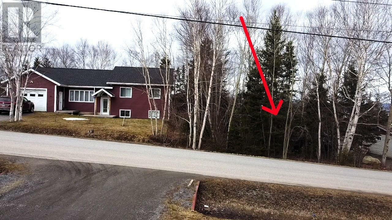 Property Photo:  8 Hillview Avenue  NL A0L 1K0 