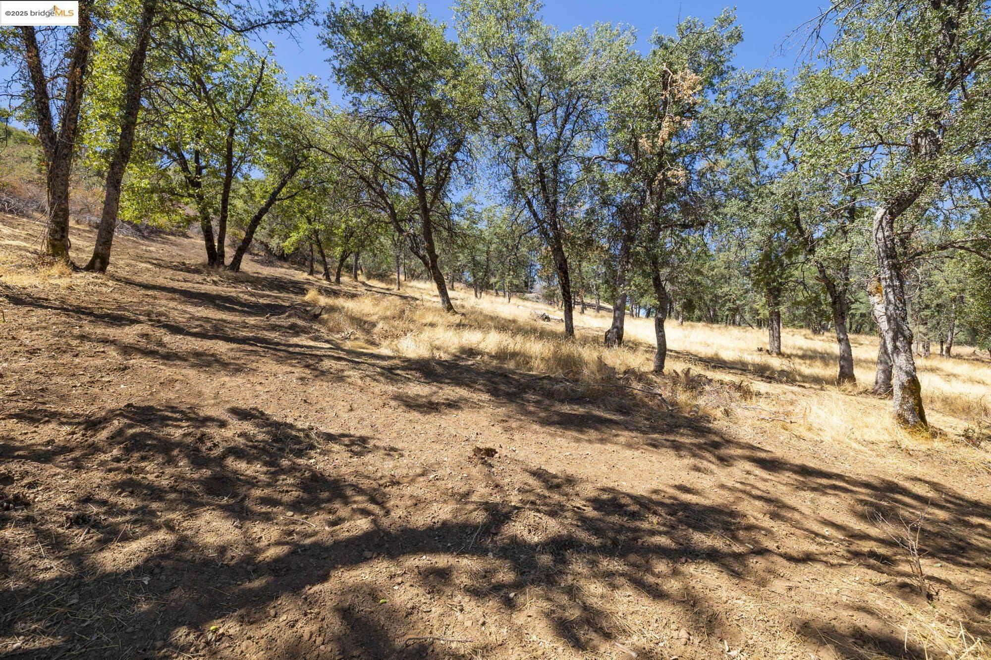 Property Photo: 16692 Crestridge Ave CA 95370