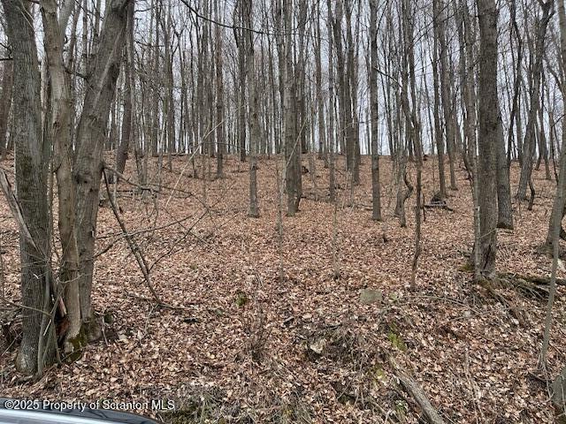 1590 Fraser Road  Montrose PA 18801 photo