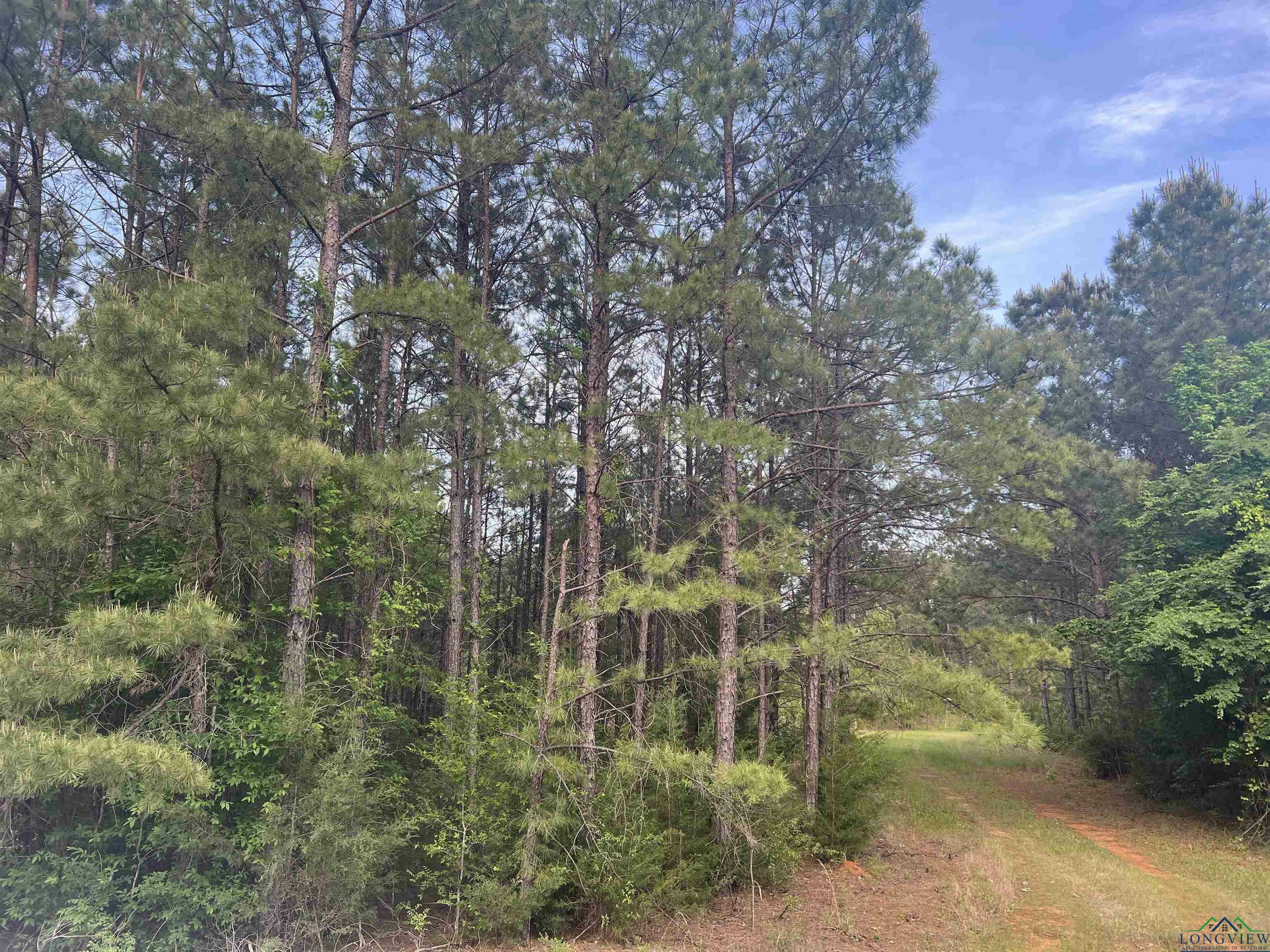 Property Photo: Cr 477 Tract 3 TX 75654