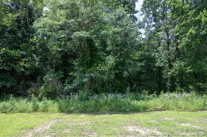 Property Photo: Lot 24 Outlook Drive KY 40360