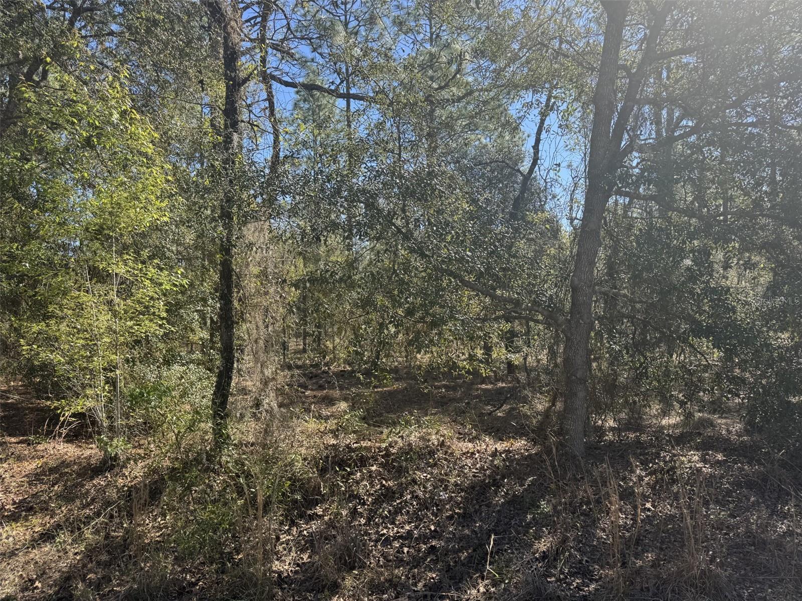 Property Photo: Tbd Smallwood Road FL 34431