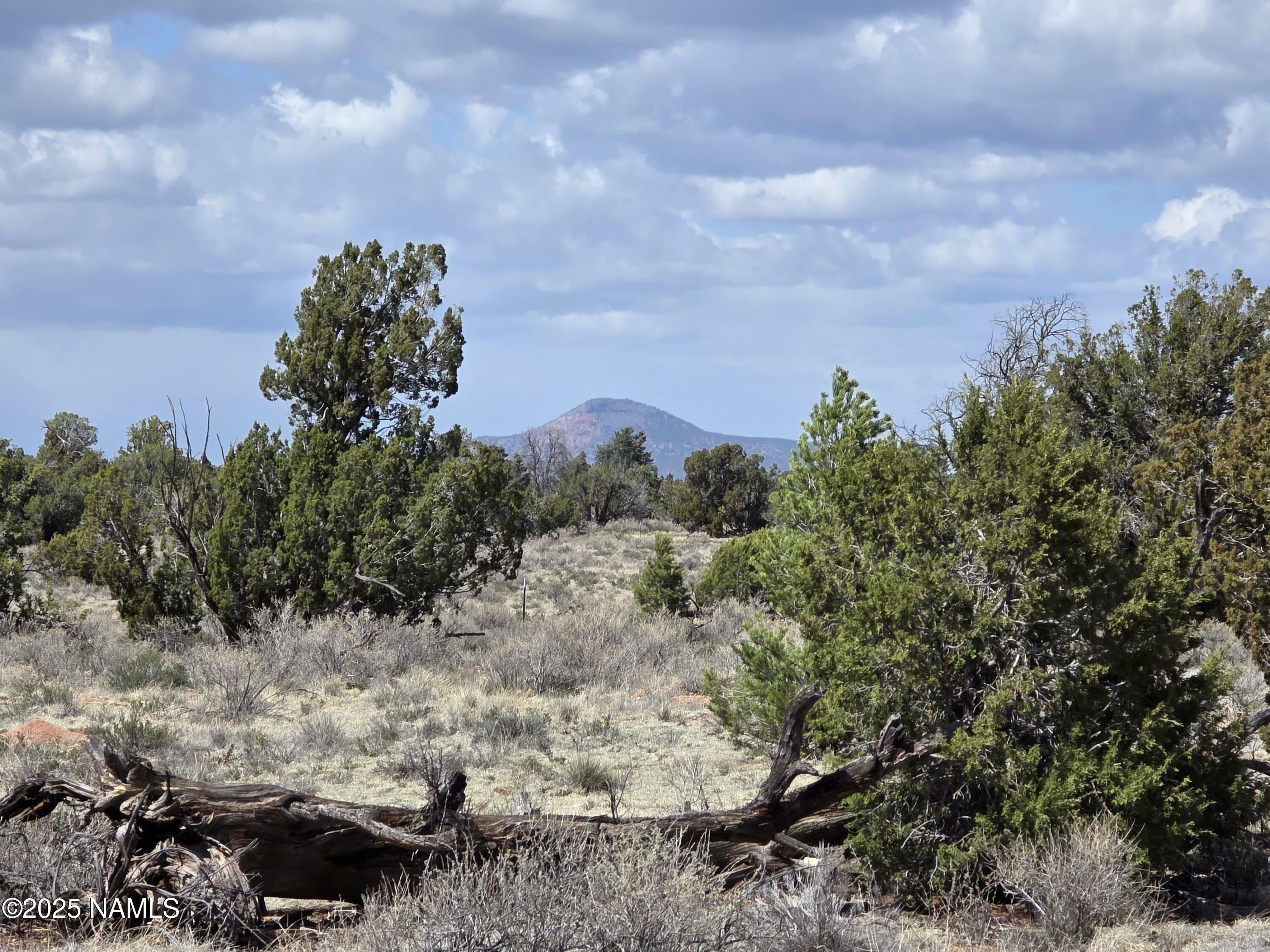 Property Photo:  564 N Wyandotte Road  AZ 86046 