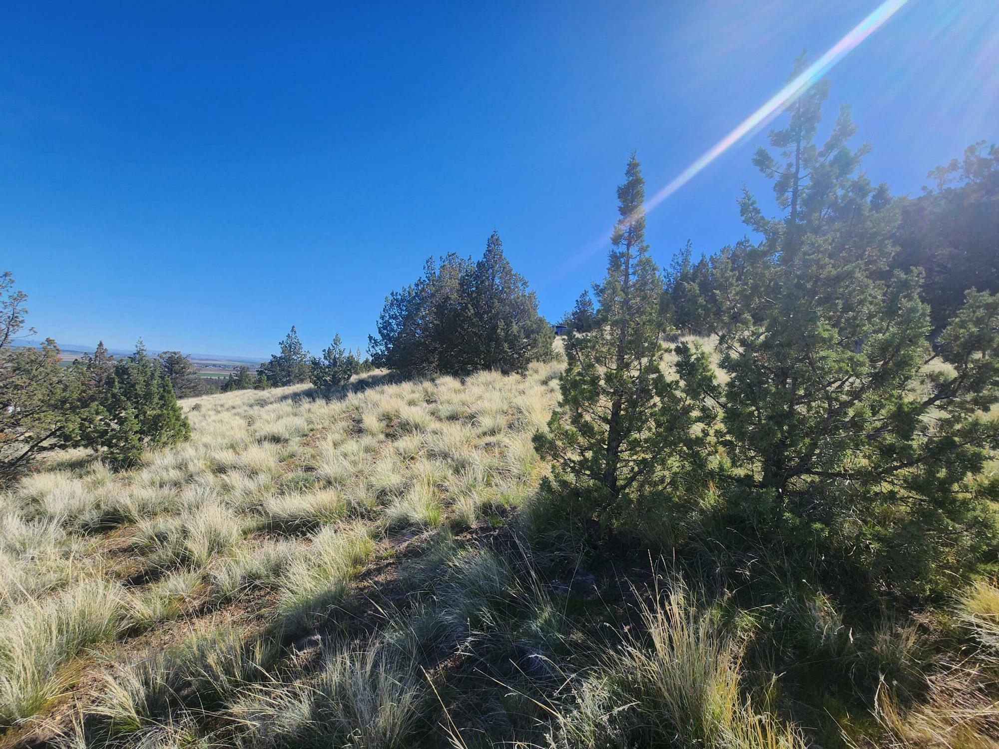 Property Photo: 2000 SW Mintken Lane OR 97734
