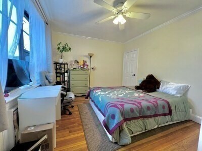 Property Photo: 65 Strathmore 28 MA 02135