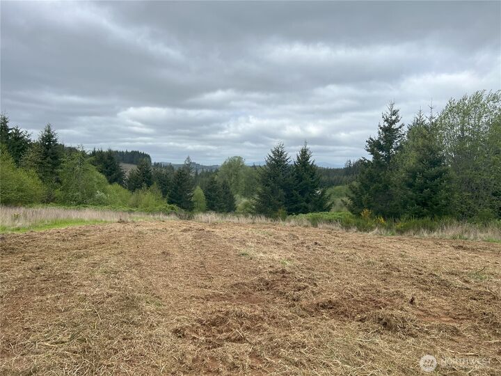 113  Red Rock Lane  Chehalis WA 98532 photo