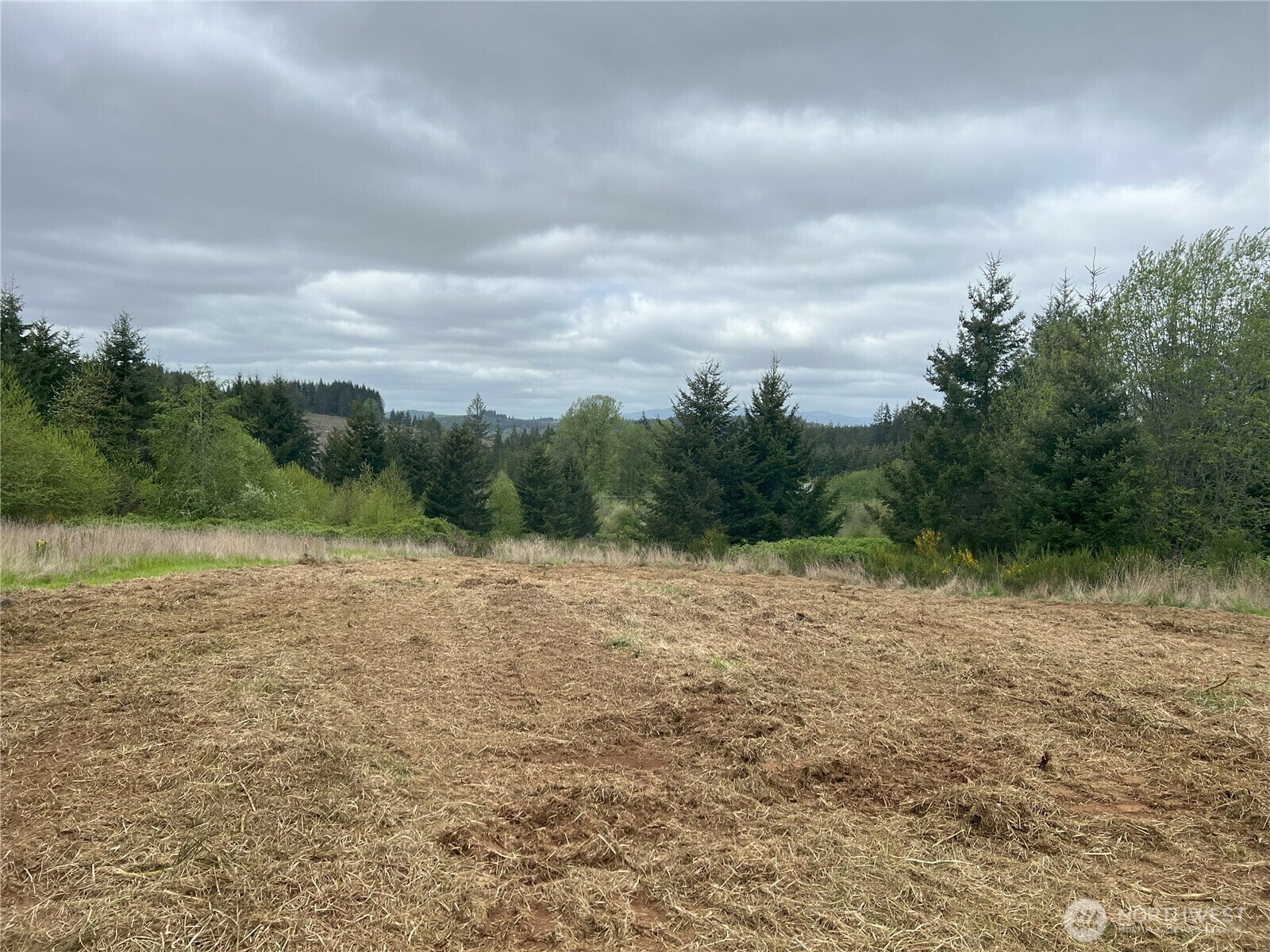 Property Photo: 113 Red Rock Lane WA 98532