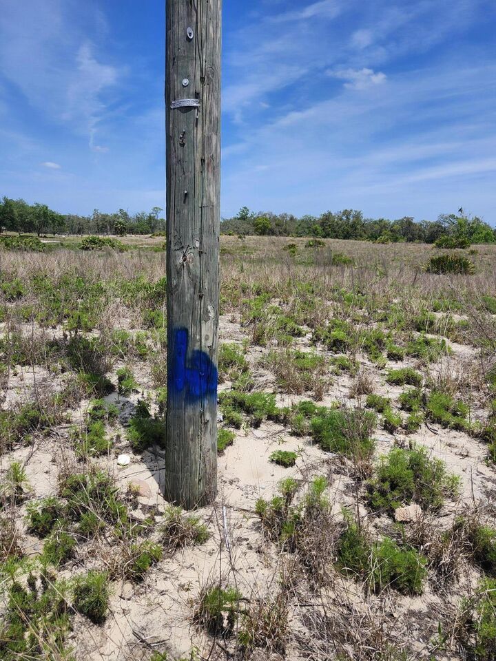 Property Photo: Lot 30 Fazzini Road FL 33898