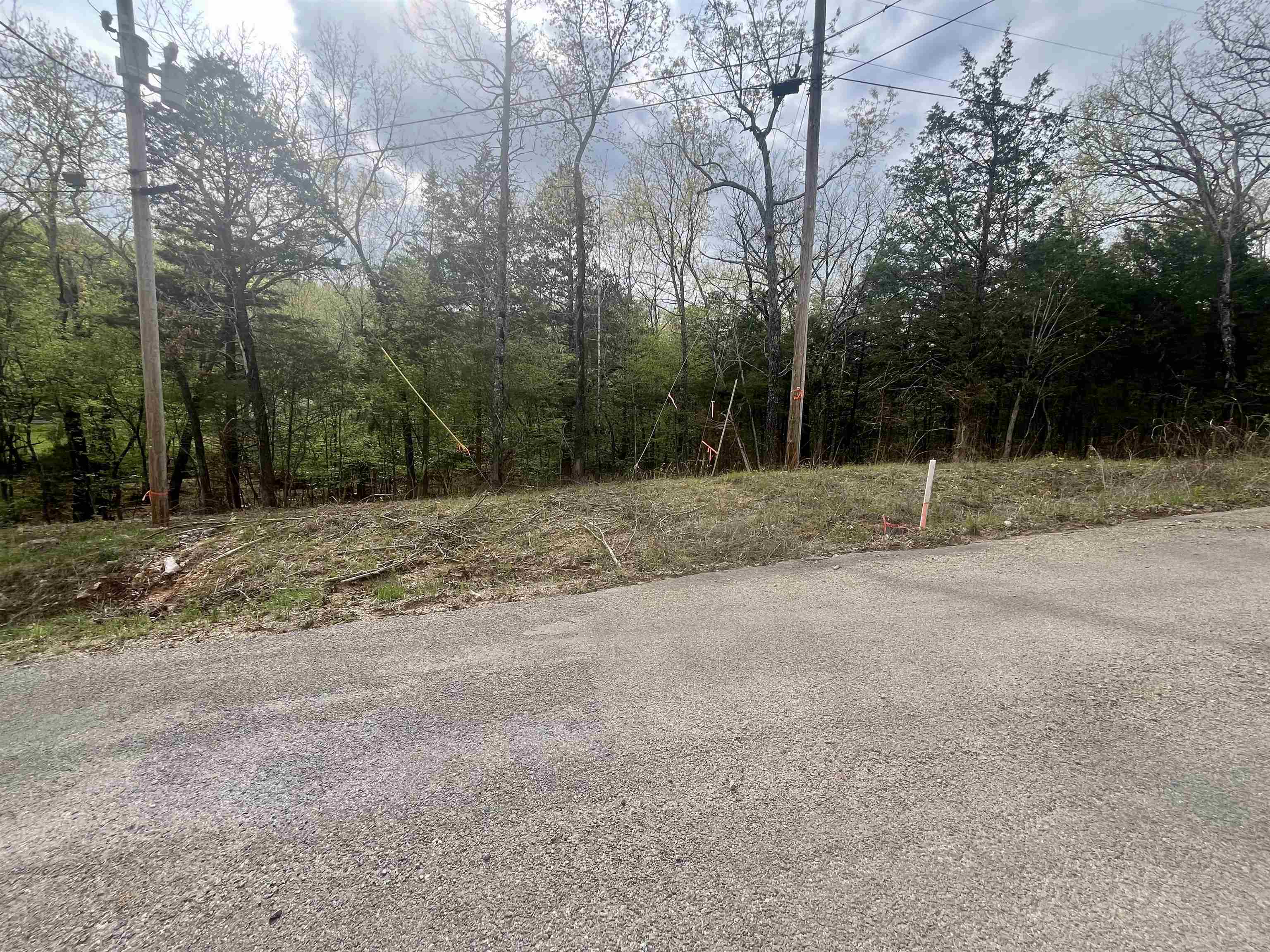 Property Photo: Tbd Rainbow Drive AR 72542