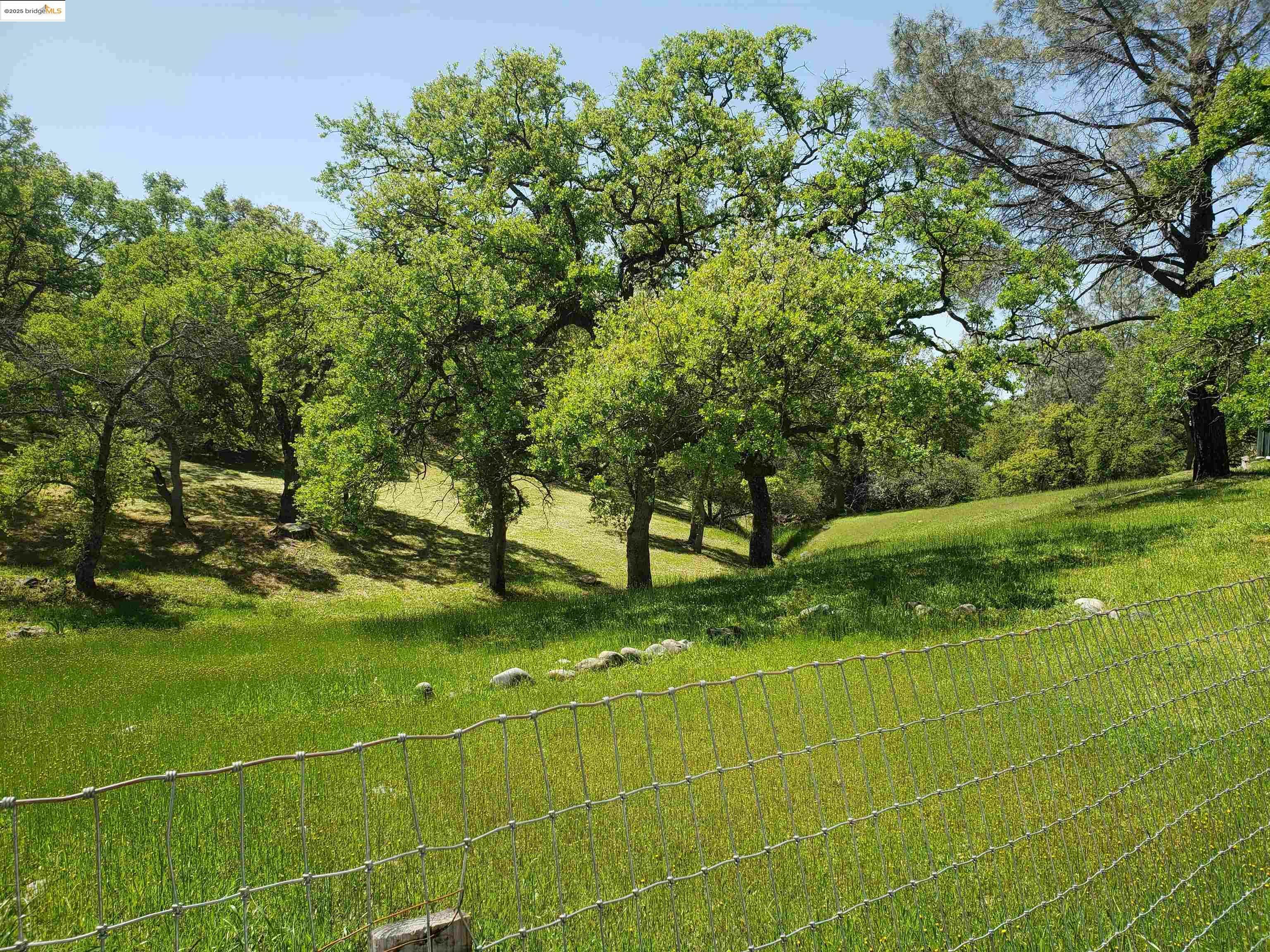 4768 Arbolada  La Grange CA 95329 photo