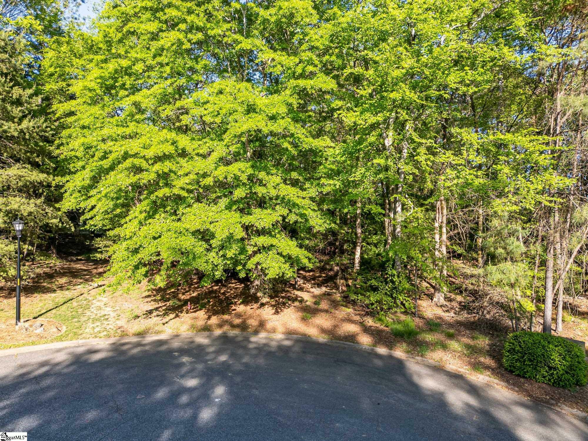 Property Photo: 160 Turnberry Drive SC 29306