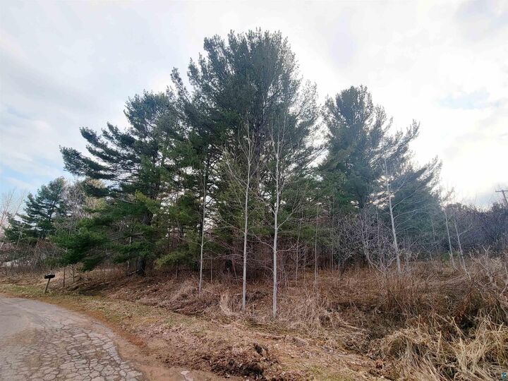 Property Photo:  N 2nd St  WI 54814 