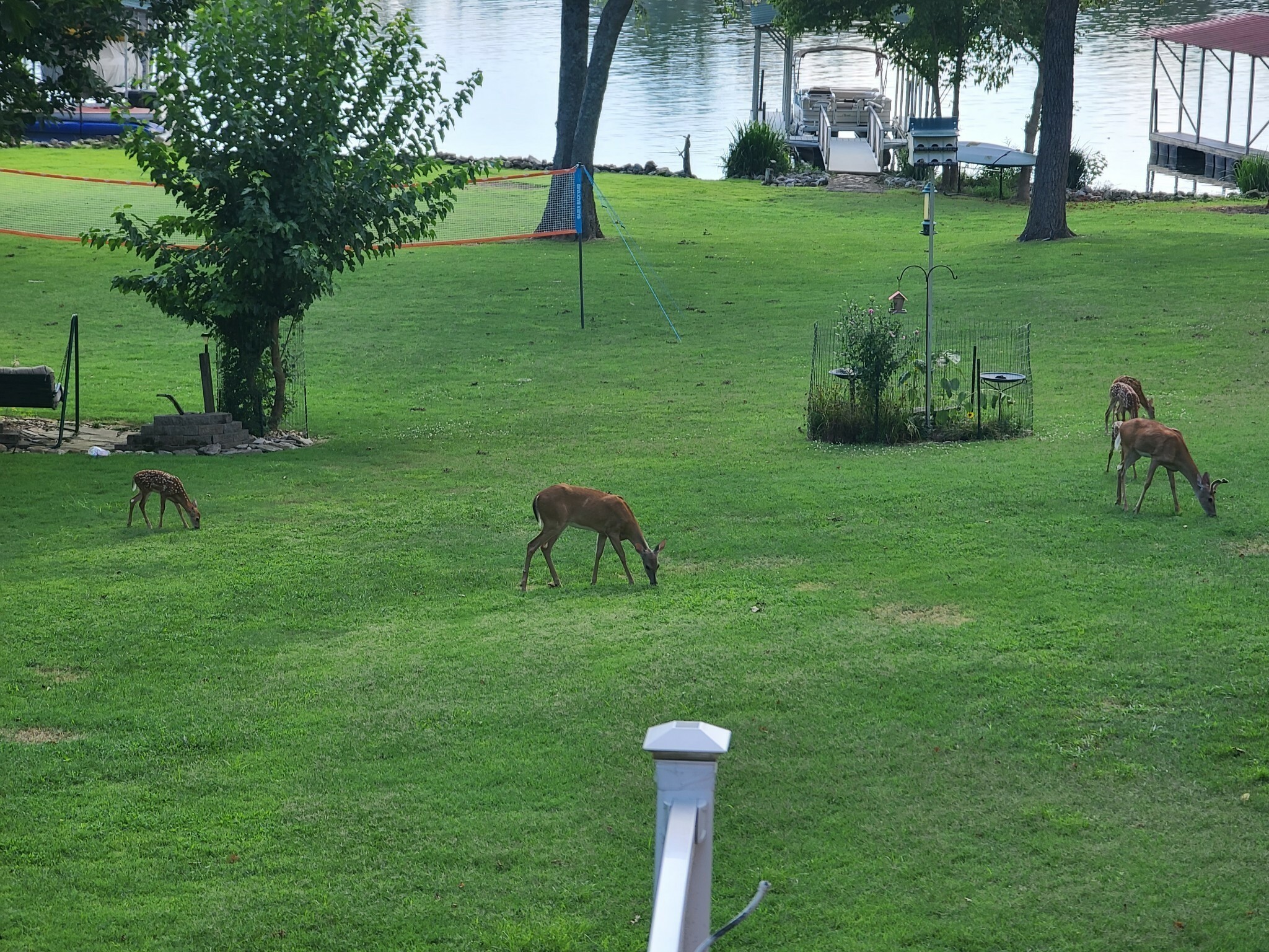 1210 Bayview Dr  Gallatin TN 37066 photo