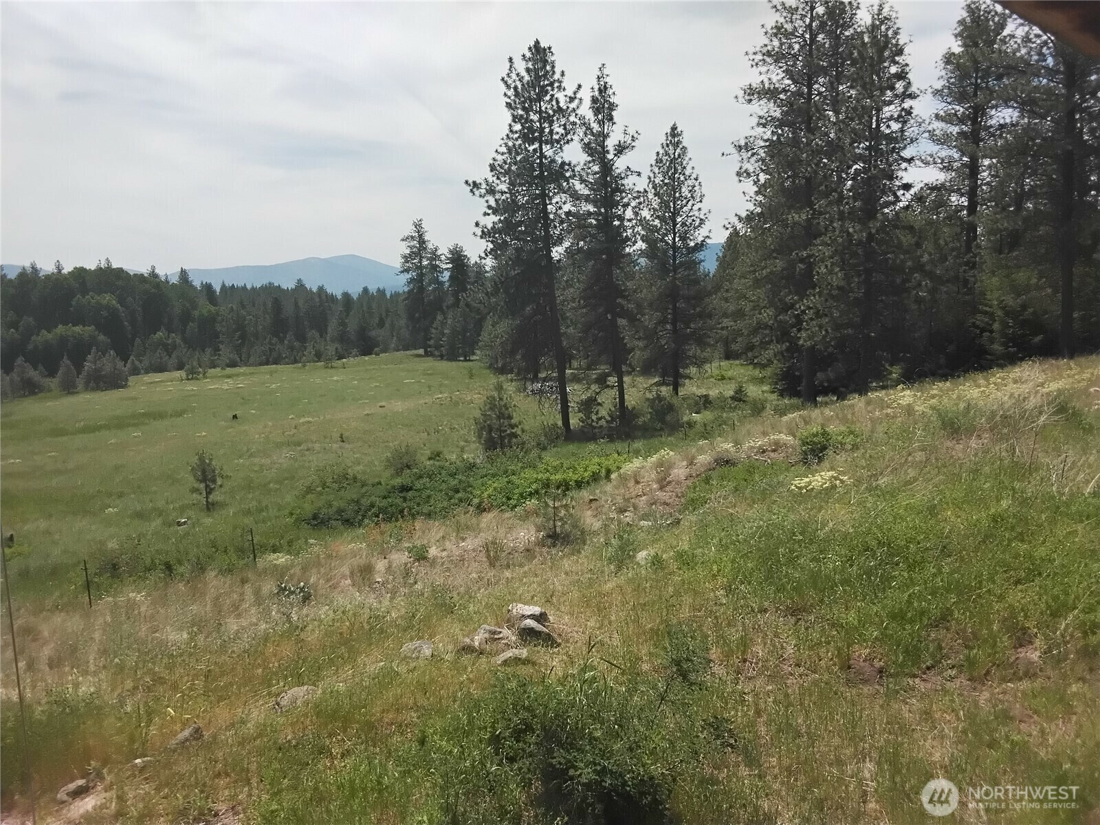 193  Blue Meadows Road  Tonasket WA 98855 photo