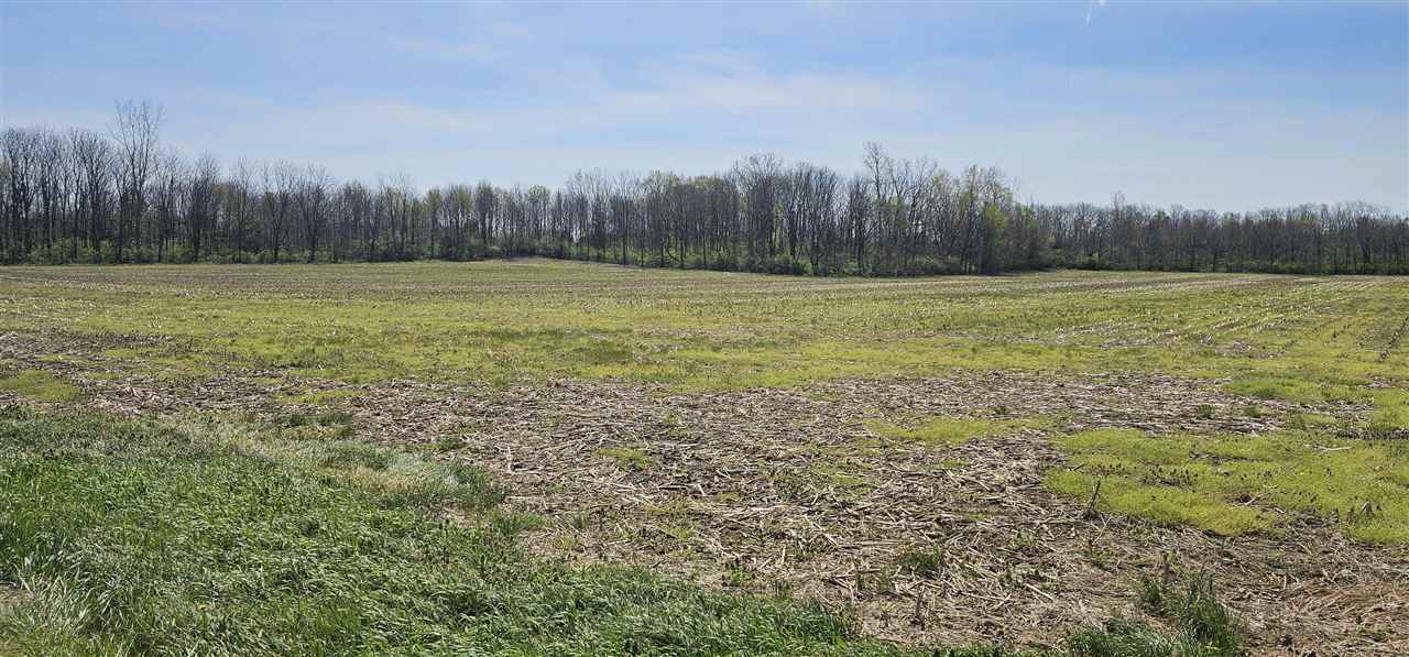 Property Photo:  0 Sycamore Street  IN 47393 