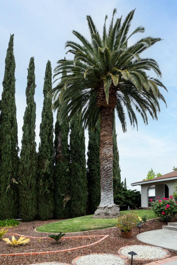 Property Photo: 200 Westchester Drive CA 95032