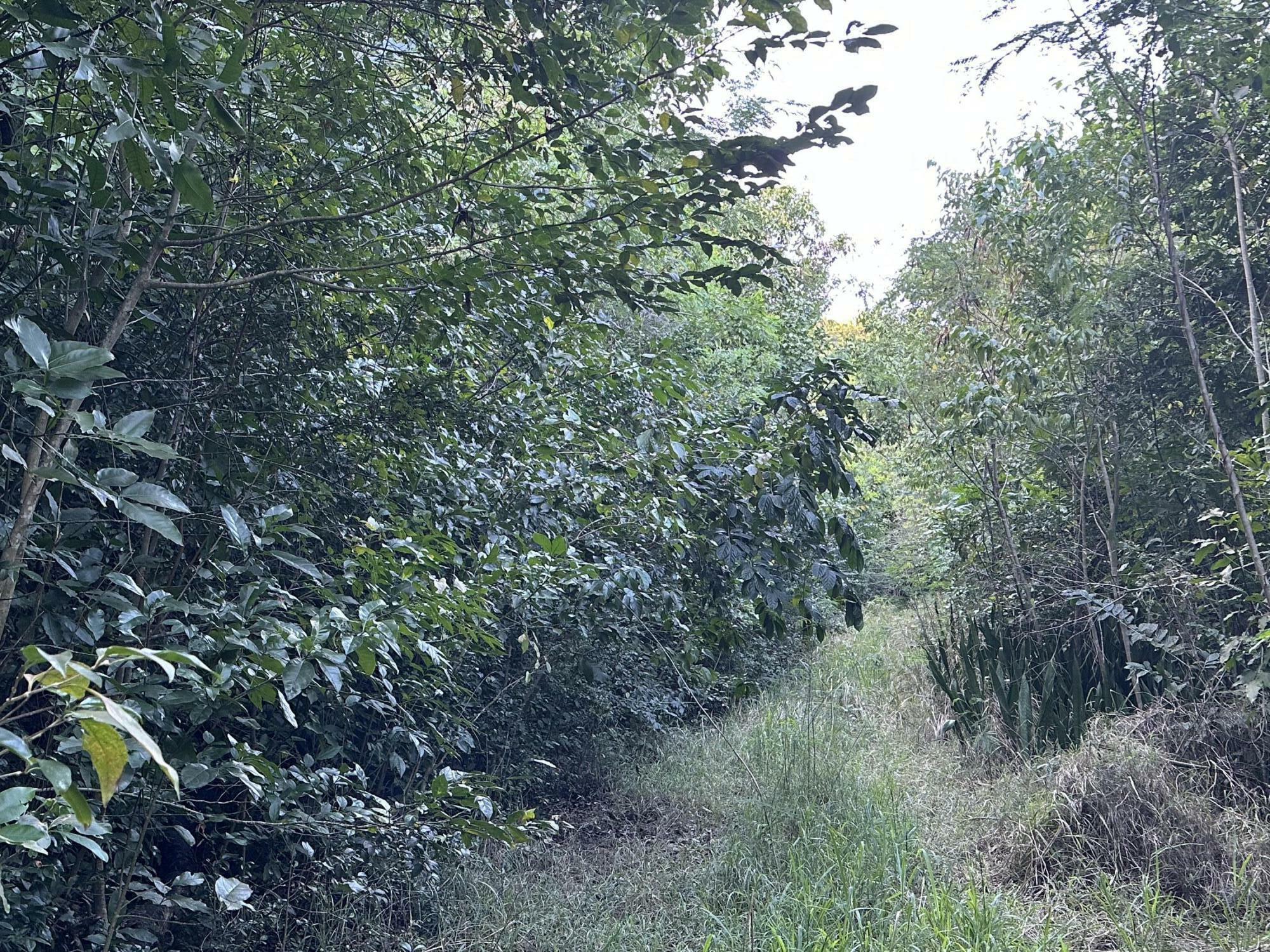 Property Photo: 229 Belvedere Nb VI 00840
