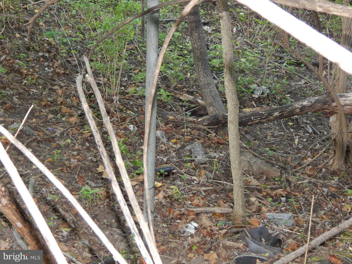 Property Photo: Lot 93 Siebert Street WV 25404
