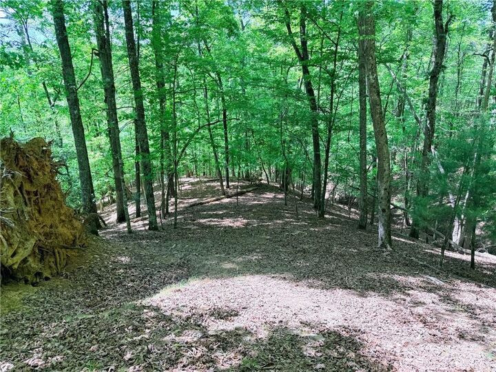 Property Photo:  2075 Parody Circle  GA 30540 