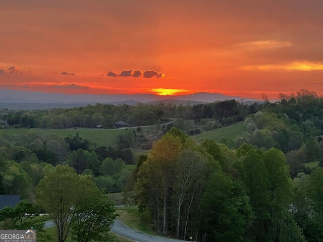 Property Photo: 95 Upper Ridge Trail GA 30560