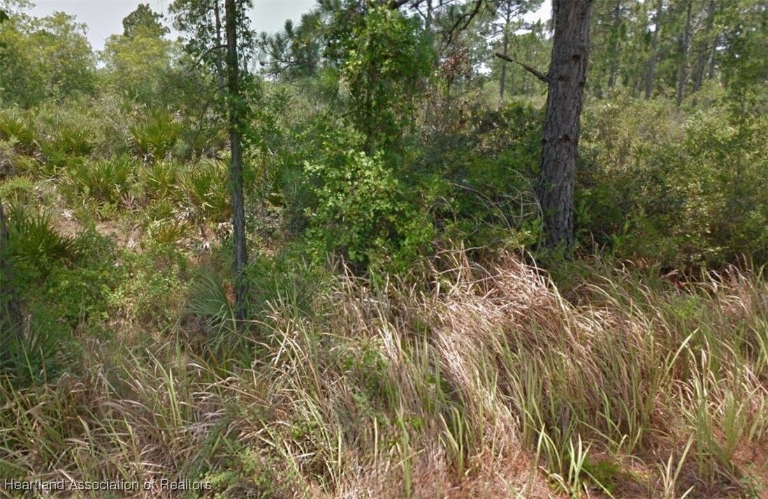 Property Photo:  622 Mandarin Street  FL 33852 