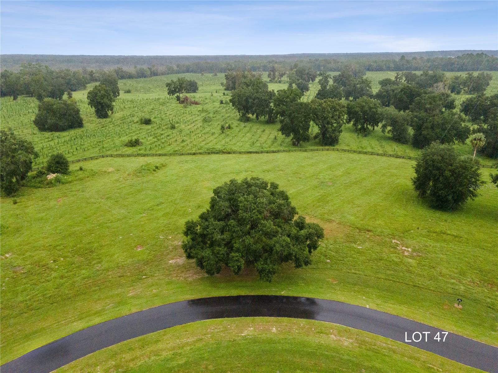 Property Photo: Lot 47 SW 125th Circle FL 32618