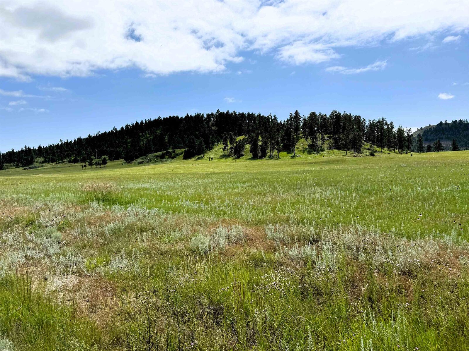 Property Photo: E6 Soaring Eagle Road WY 82720