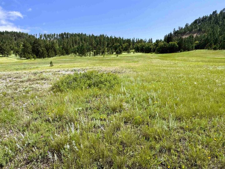 Property Photo:  E1 Soaring Eagle Road  WY 82720 