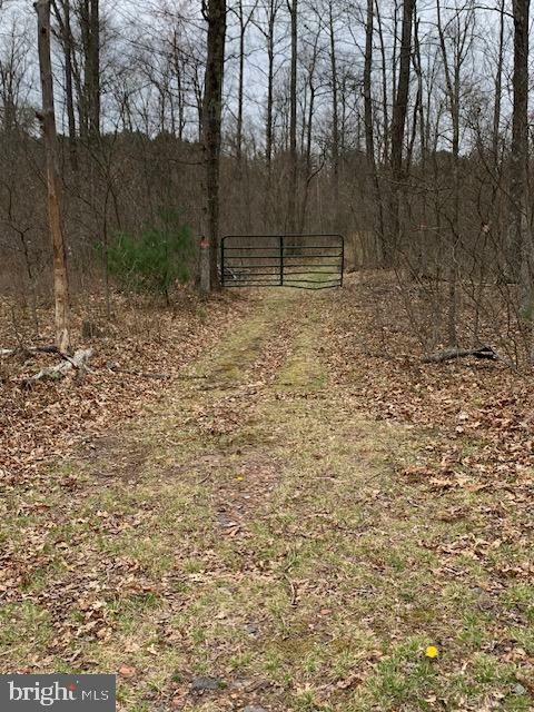 Property Photo:  0 Little Wolf Road  PA 16829 