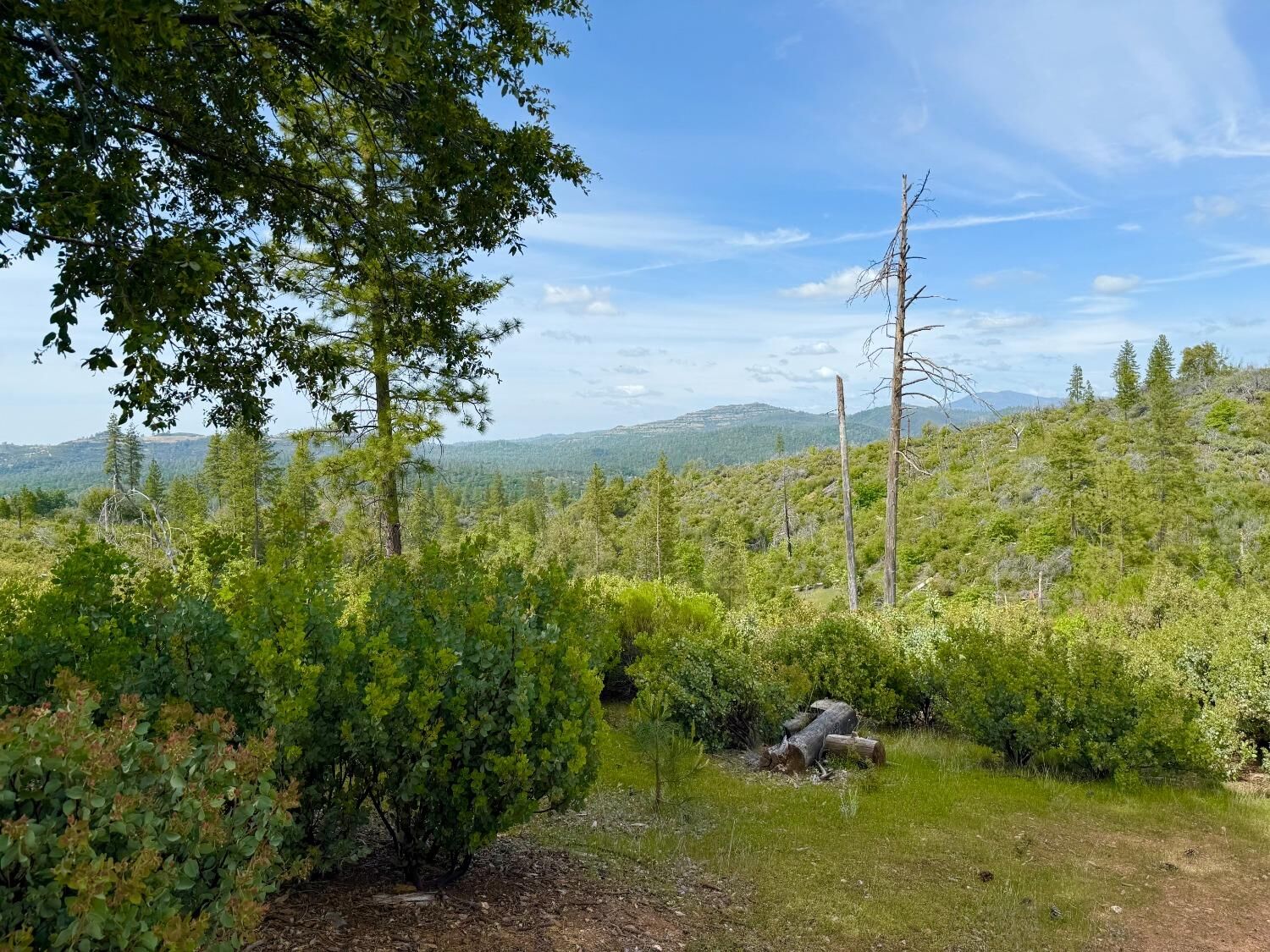 Property Photo:  0 Fricot City Rd  CA 95246 