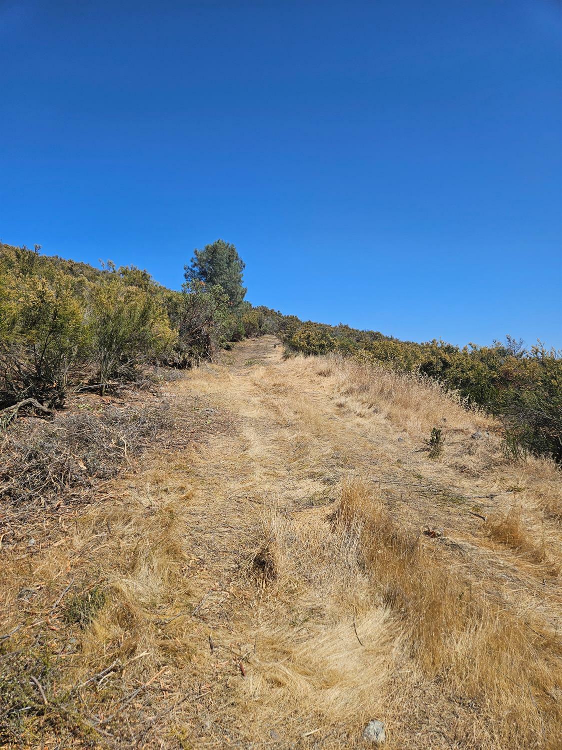Property Photo: 0 Ranchero Road CA 95252