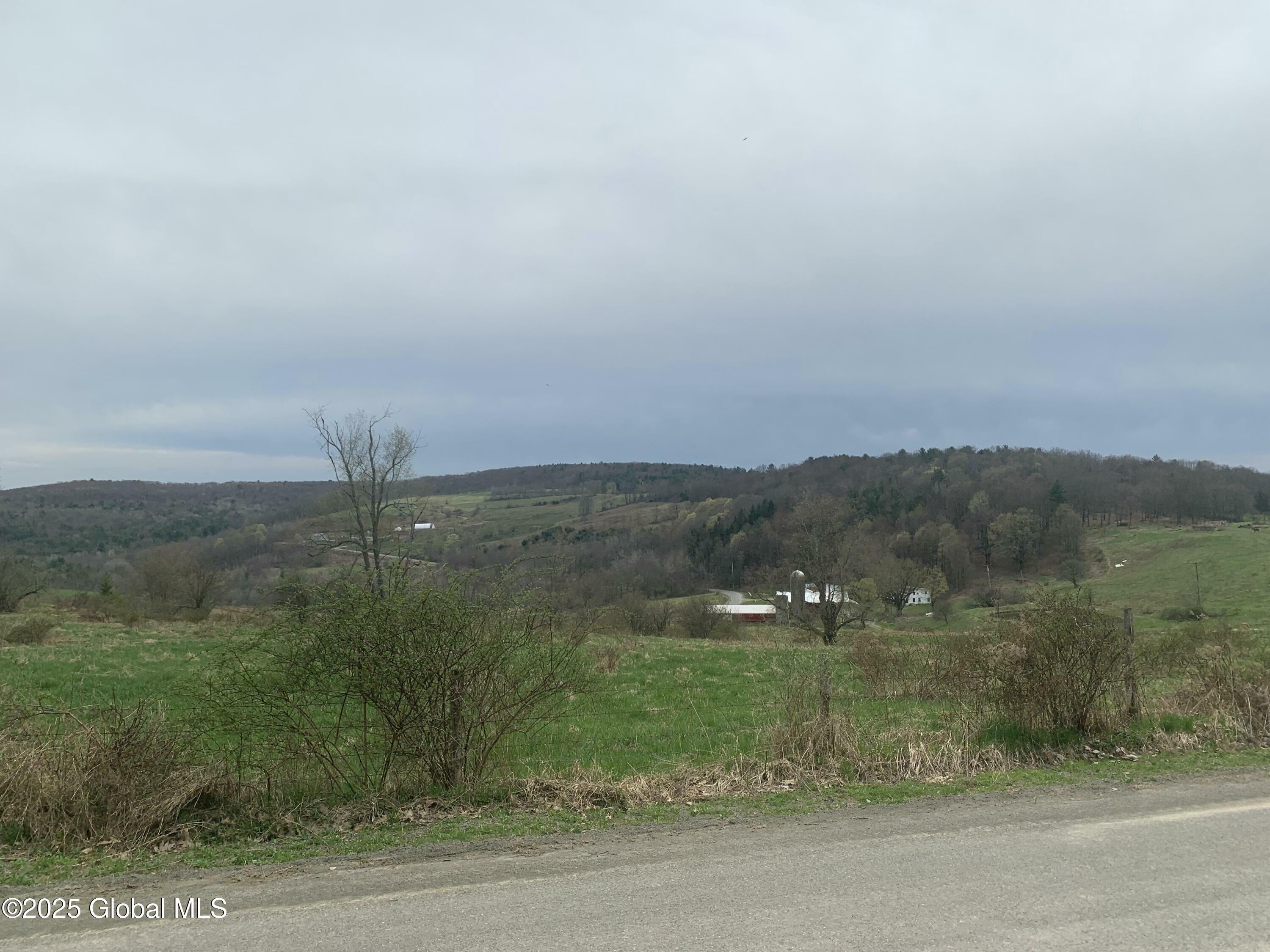 Property Photo: 19 Holcomb Road NY 13787
