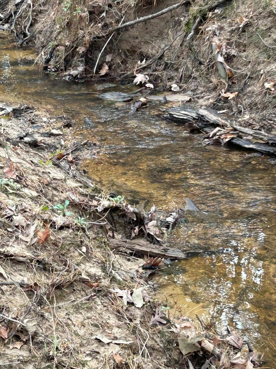 Property Photo: Tract 1 Lloyd Walker Road TX 75949