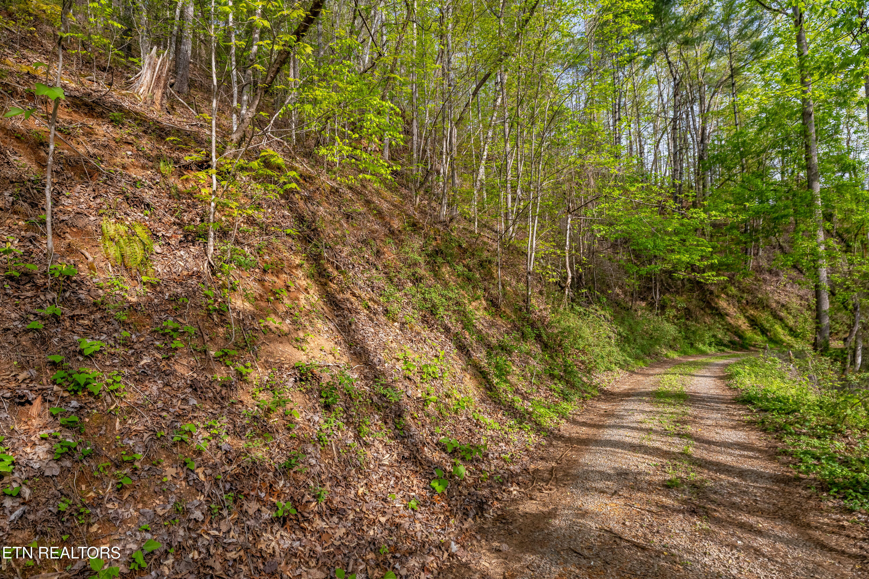 Property Photo: 240 Mt. Luke Rd TN 37882