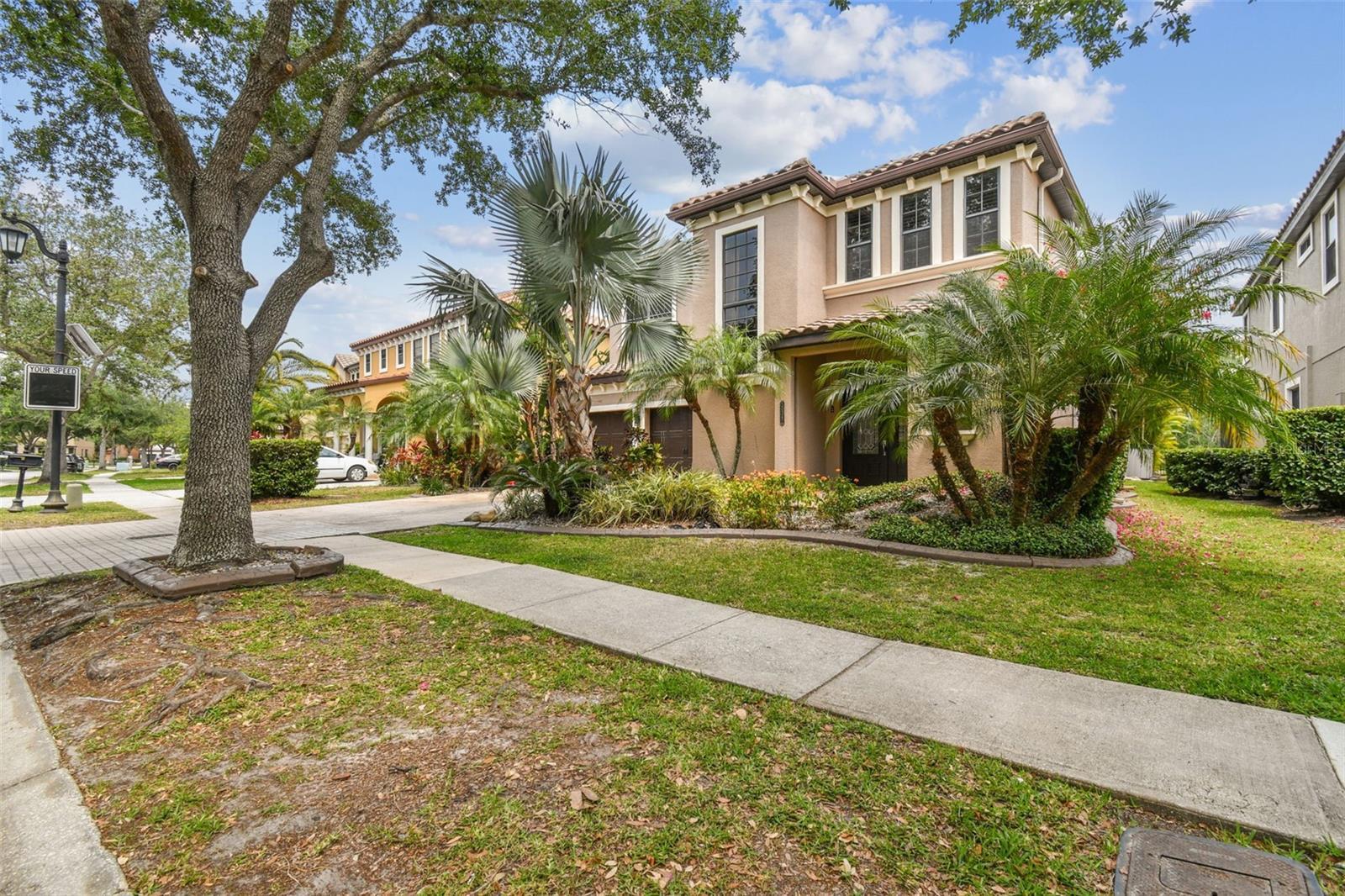 Property Photo: 20347 Chestnut Grove Drive FL 33647