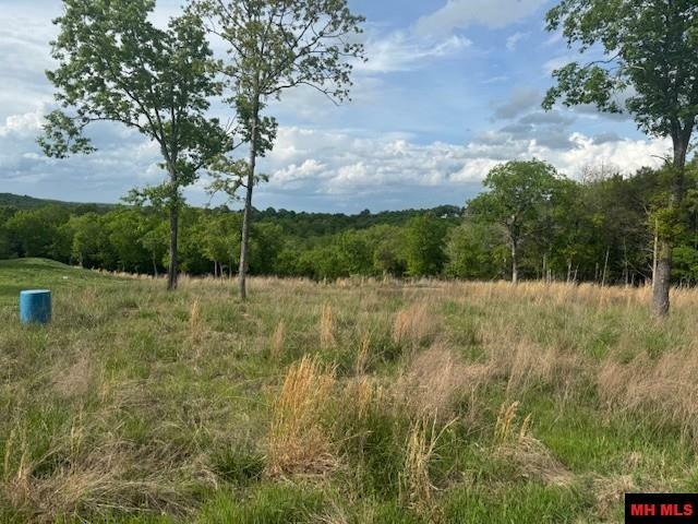 Property Photo: Lot 2 &Amp 10 Cr 834 AR 72544