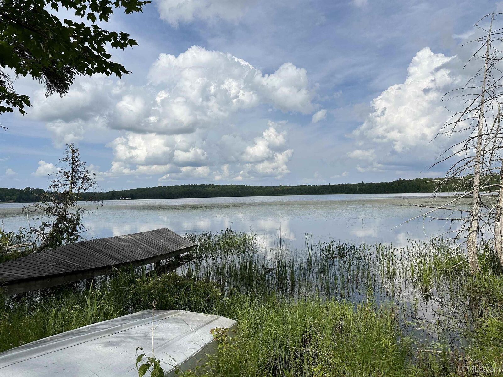 Property Photo:  Off Forest 8300 Road  MI 49947 