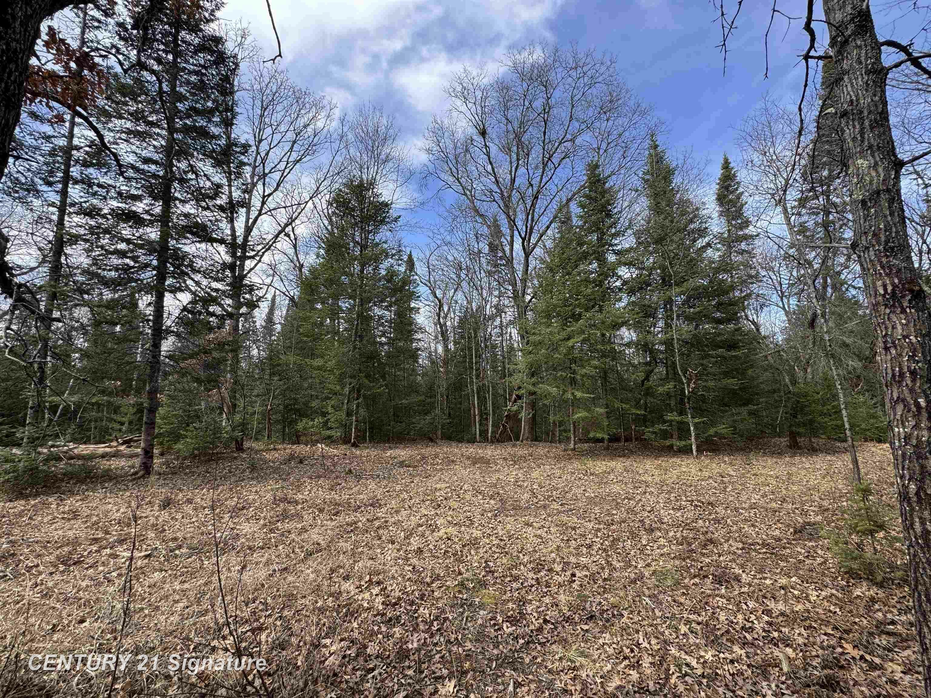 Property Photo: V/L Steckert Bridge Road MI 48653