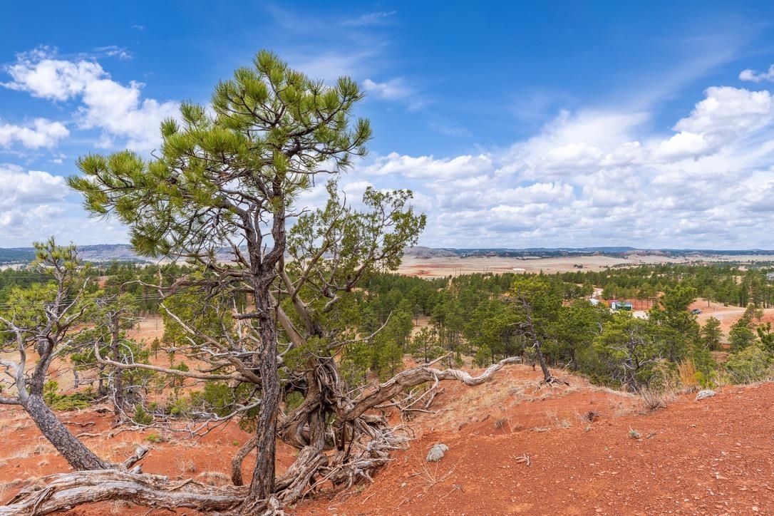 Property Photo:  Lot 20 Cody Road  SD 57747 