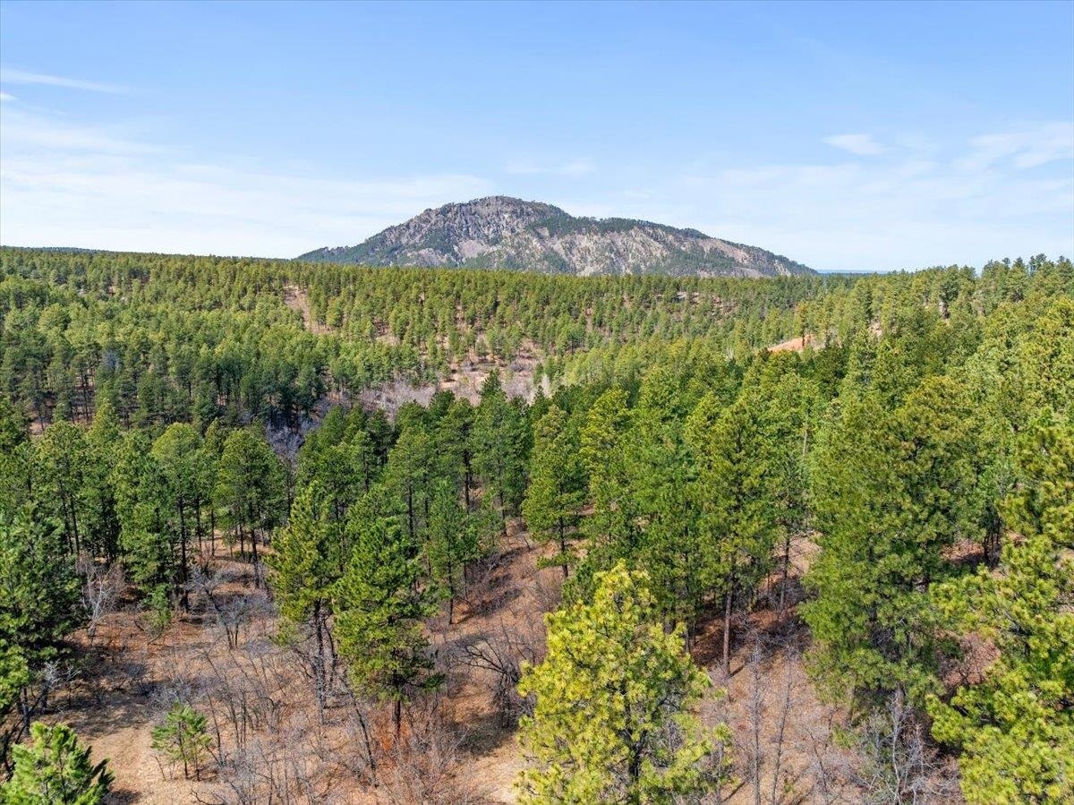 Property Photo: Lot 3 Tanager Court SD 57783