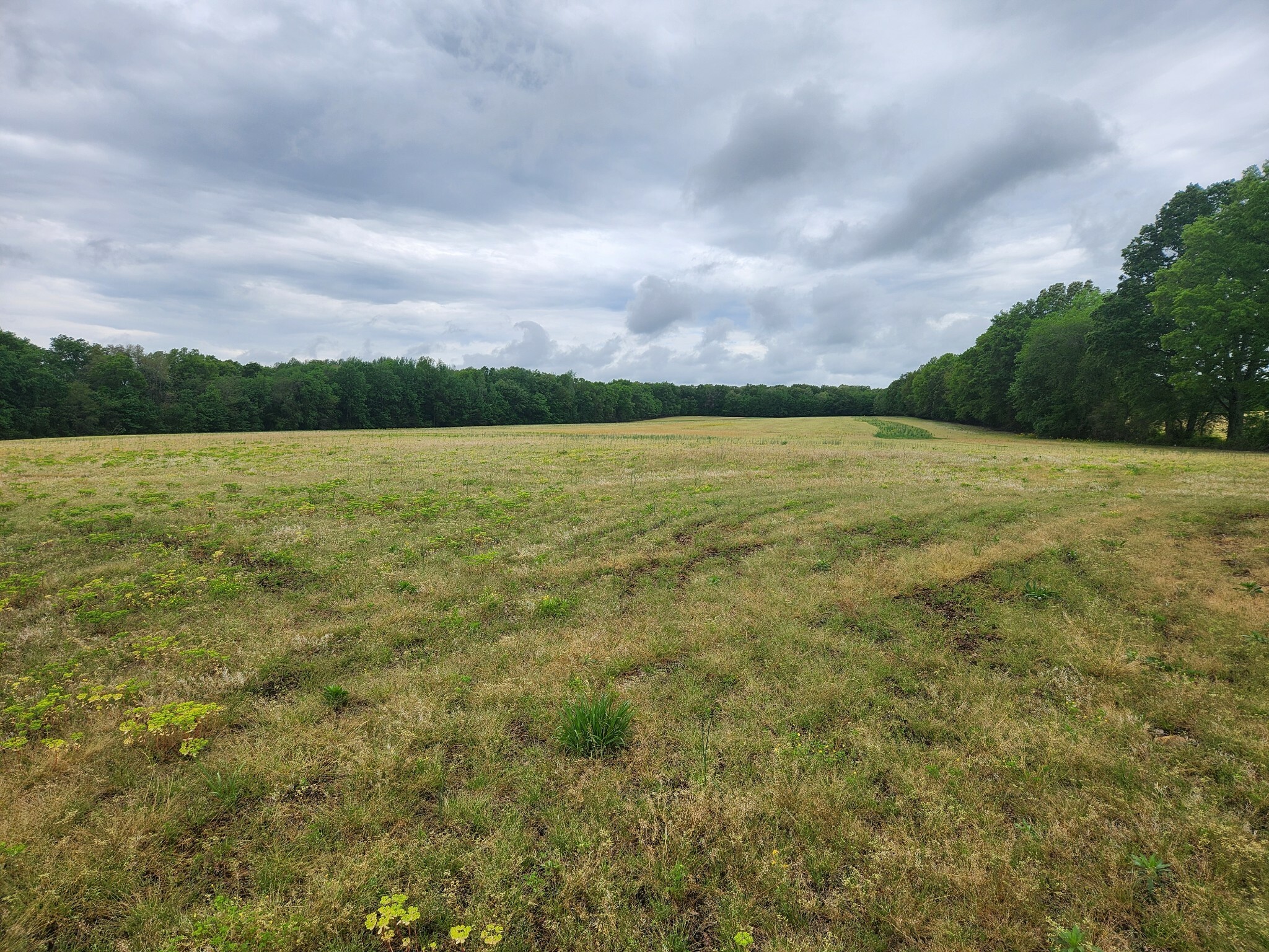 Property Photo: 3249 Fredonia Rd TN 37355