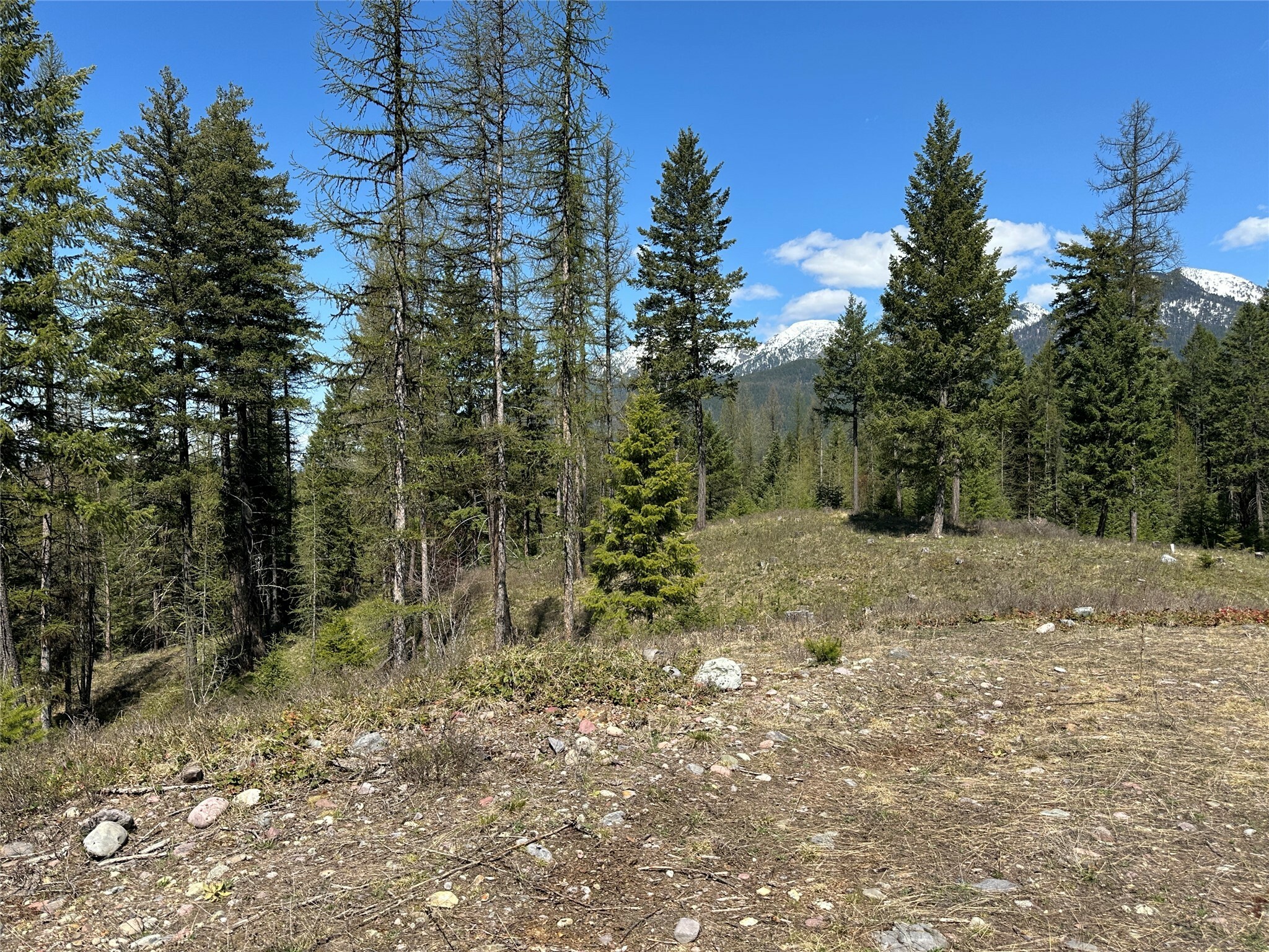 Property Photo: 1226 Rolling Ridge Loop MT 59901