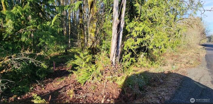 Property Photo:  0  Nevada Ave & Michigan Street  WA 98353 