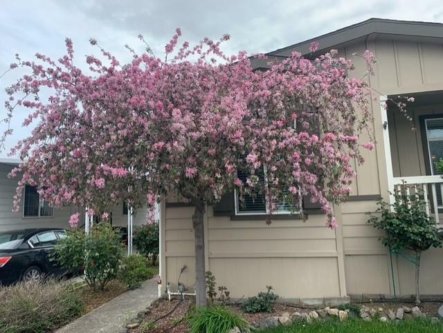 Property Photo: 63 Mulberry Court 63 CA 95037