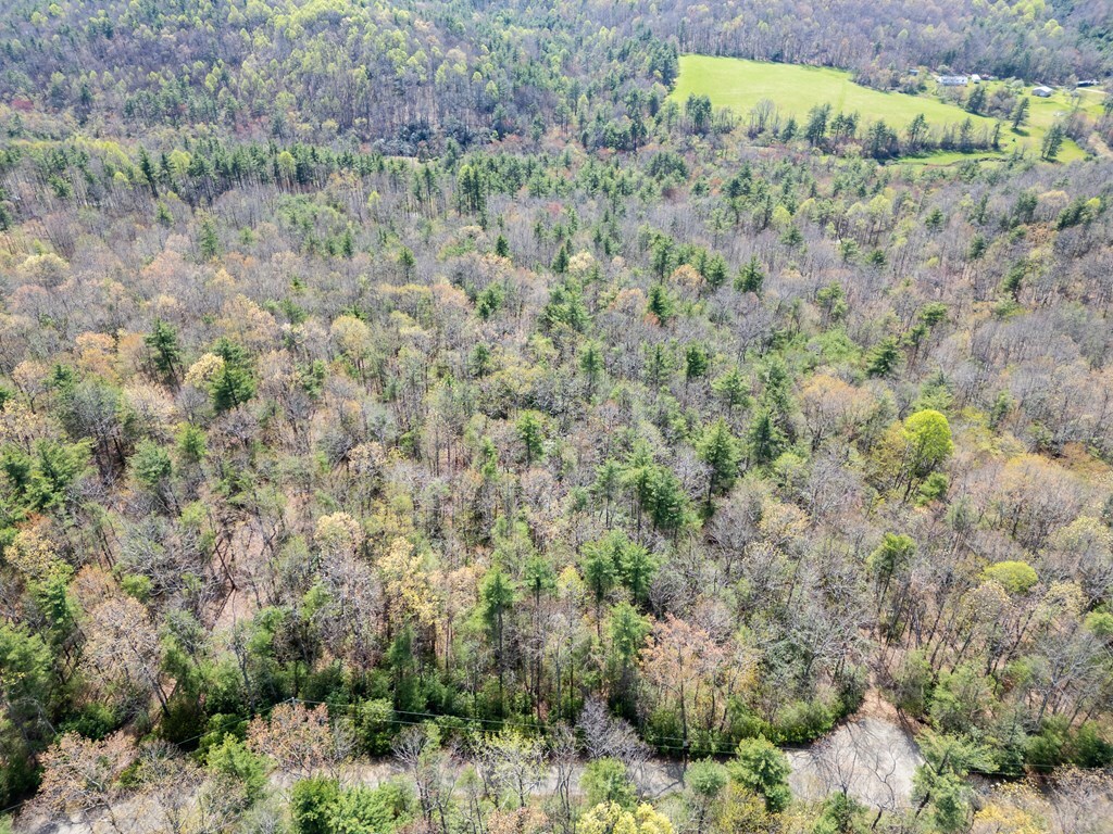 Property Photo: Tbd Green Stone Ln VA 24333