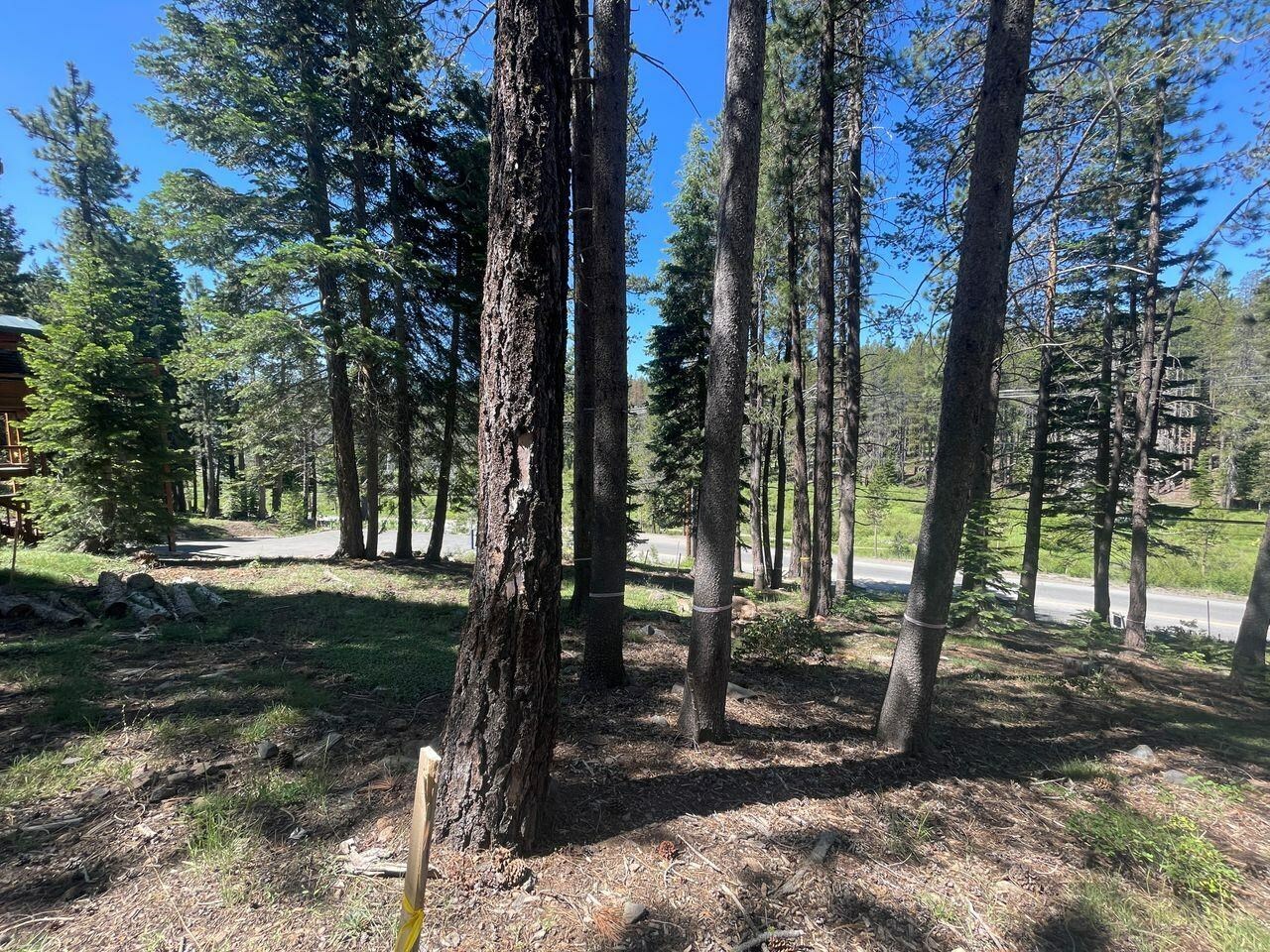 Property Photo:  12173 Northwoods Boulevard 12173 Northwoods Blvd  CA 96161 