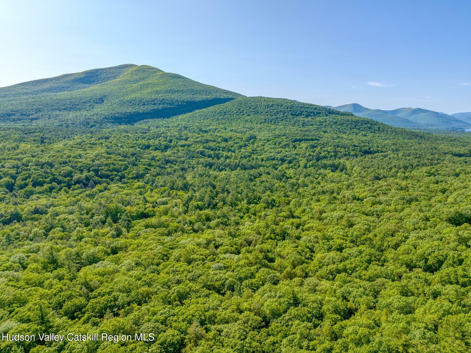 Property Photo: 291 Acorn Hill NY 12461